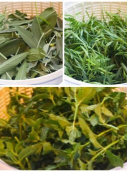 More About Freezing Fresh Herbs:  Freezing Sage, Tarragon, and Mint