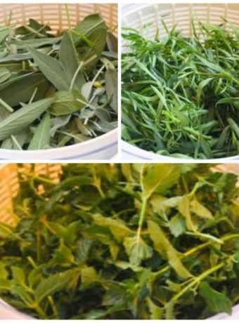 Freezing Herbs