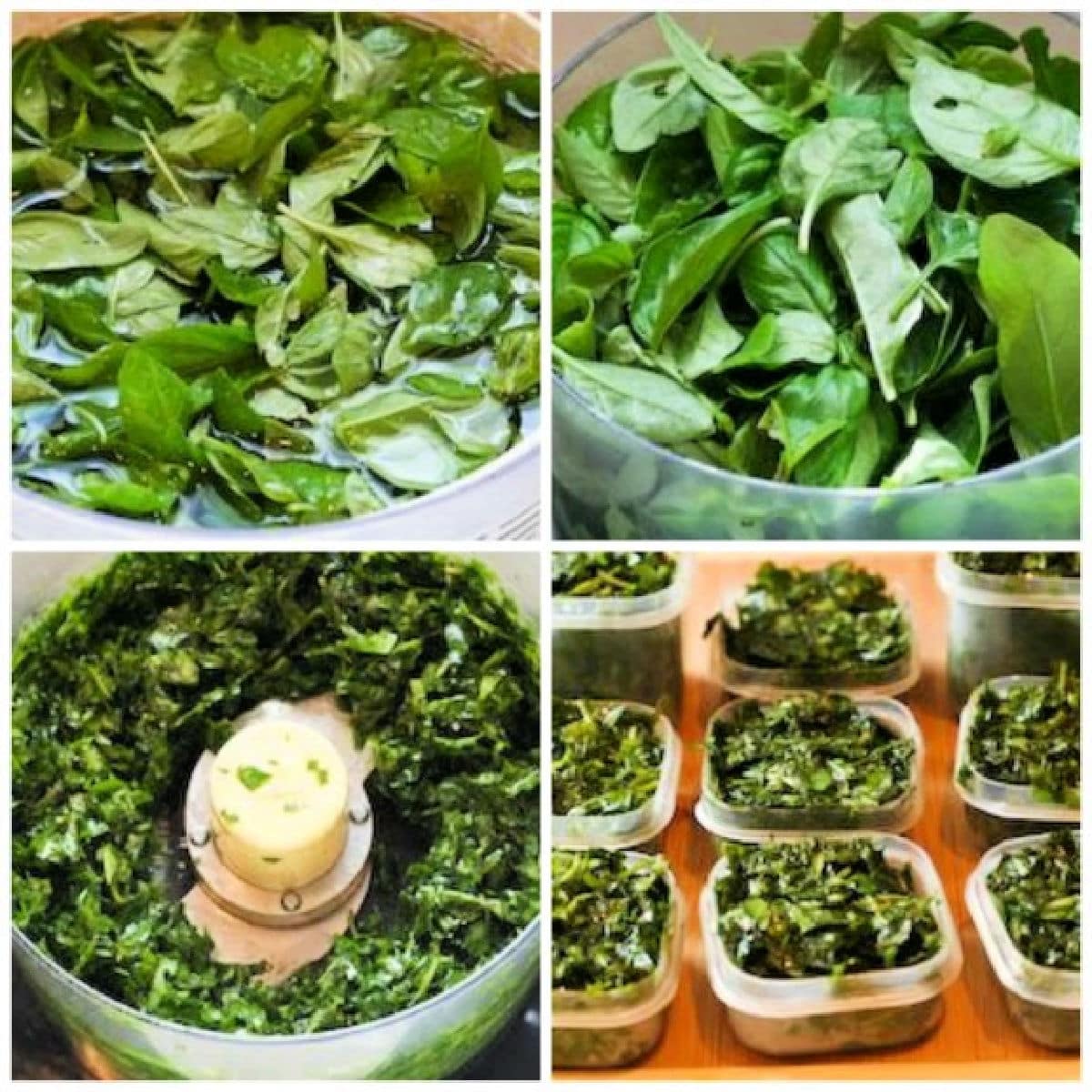 How to Store Fresh Herbs in the Fridge or Freezer