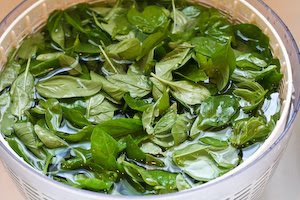 How to Freeze Fresh Basil and Ideas for Using Frozen Basil [found on KalynsKitchen.com]