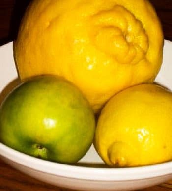 Fruits with Ponderosa Lemon