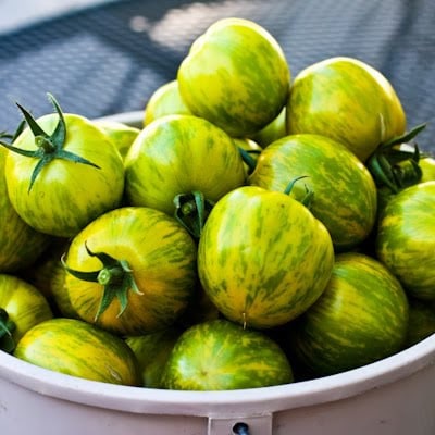 Green Zebra Tomatoes