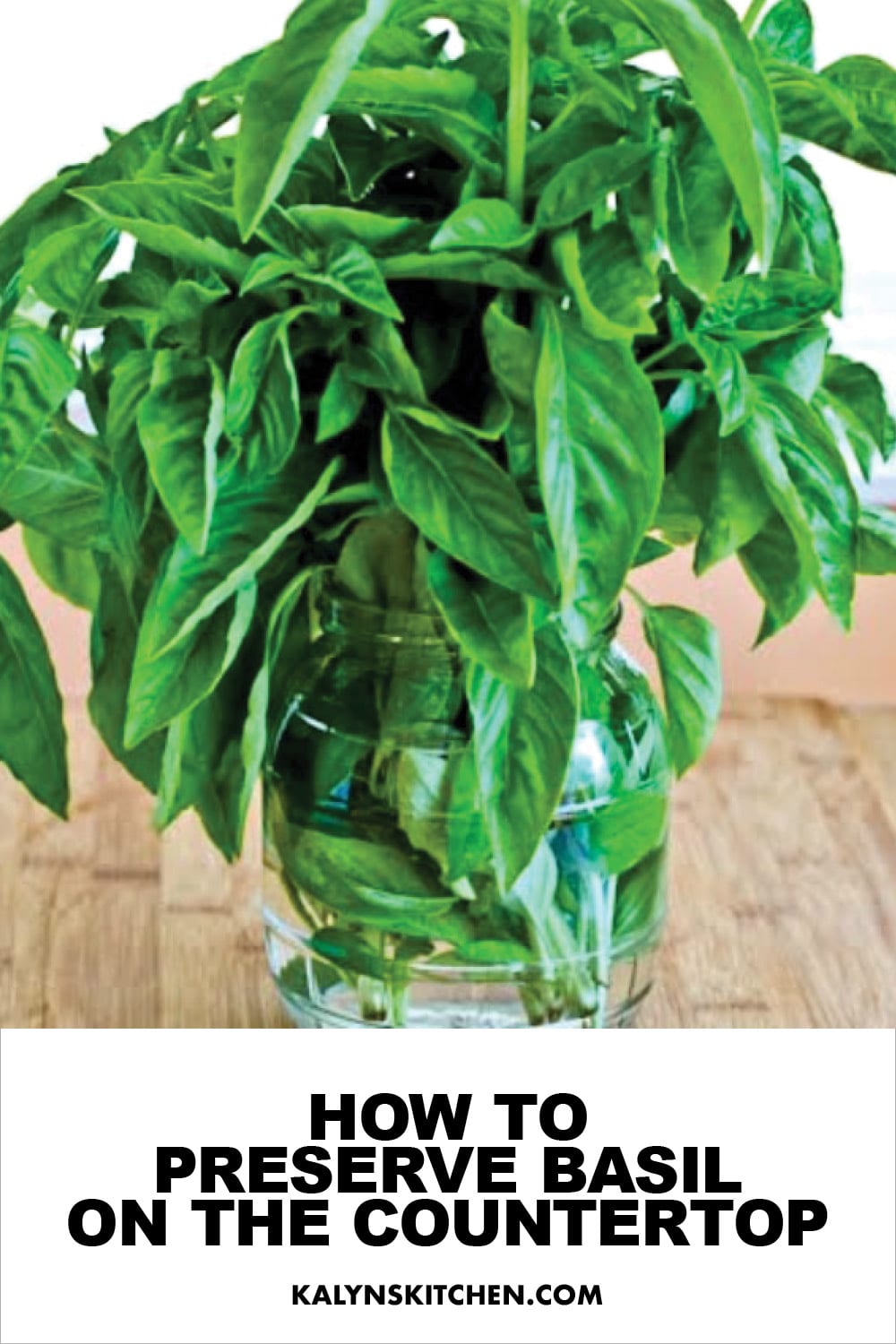 Pinterest image of How to Preserve Basil on the Countertop
