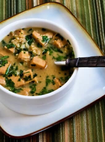 Square image for Coconut-Lime Turkey and Rice Soup in bowl with spoon.