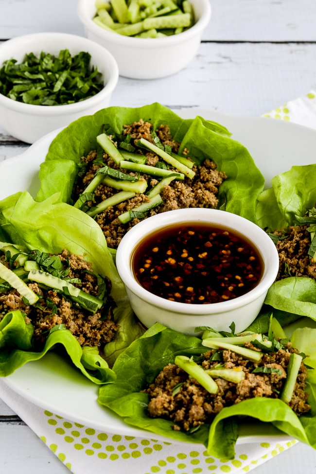 Thai Turkey Lettuce Wraps close-up photo