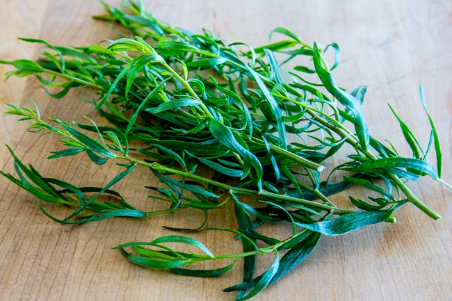 French tarragon snipped from plants