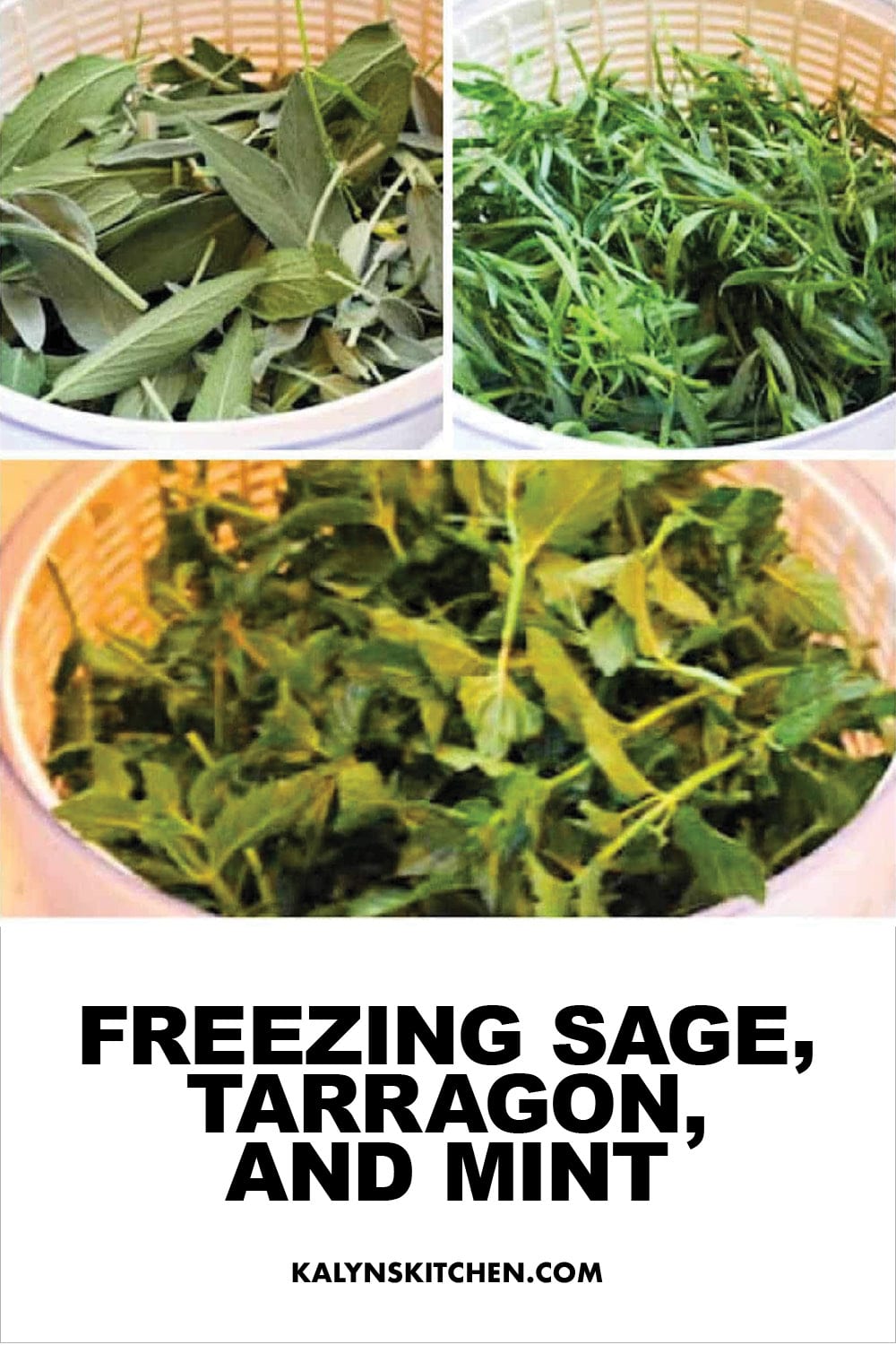 Pinterest image of Freezing Sage, Tarragon, and Mint