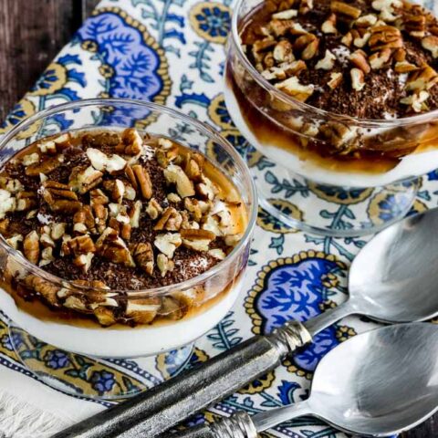 10 Minute Greek Yogurt Dessert with Agave, Dark Chocolate, and Pecans found on KalynsKitchen.com