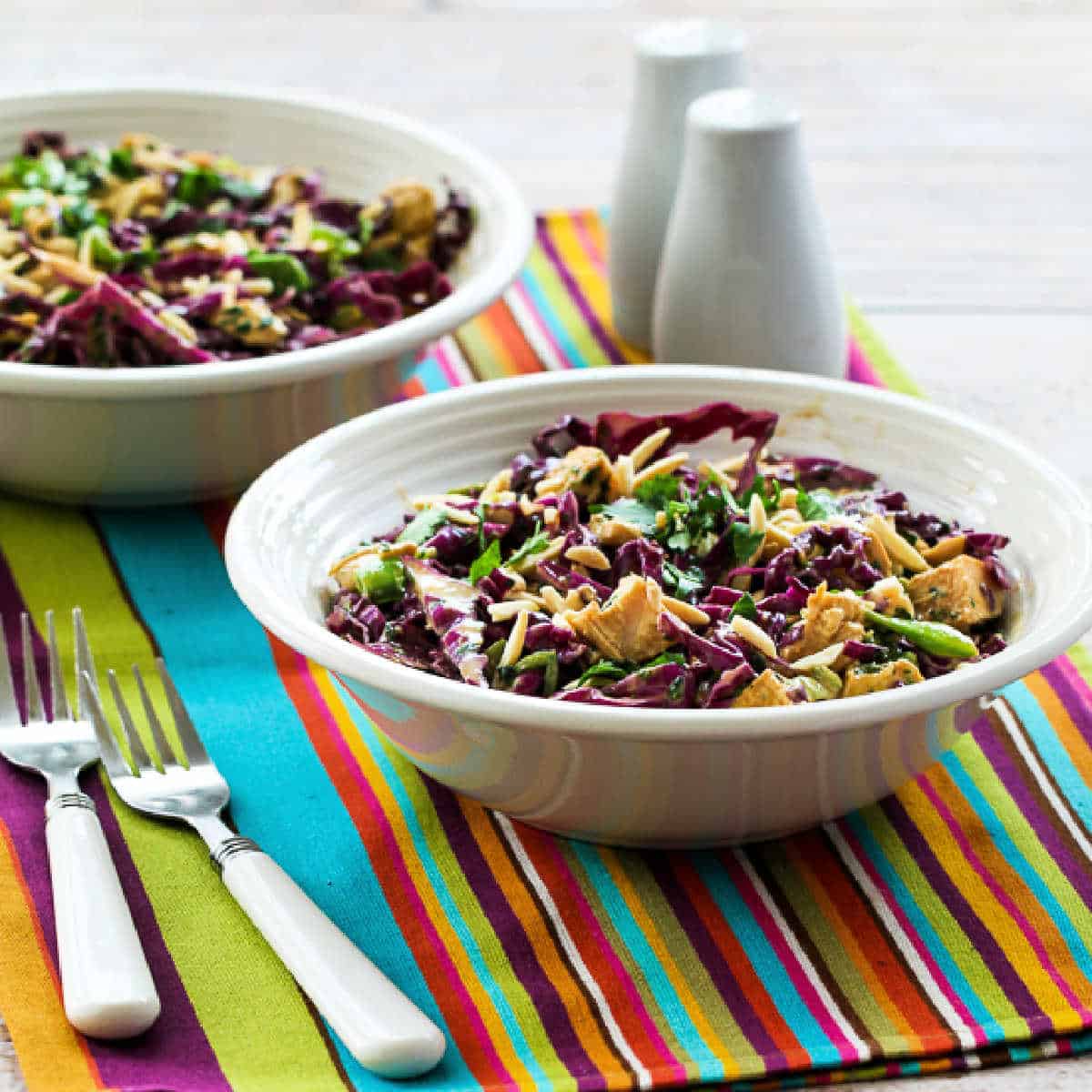 Square image for Asian Red Cabbage Salad with Chicken shown in two bowls.
