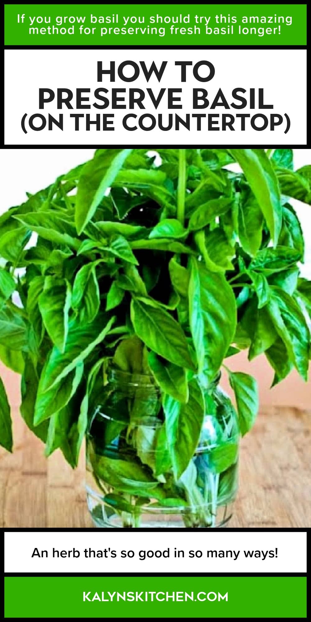 Pinterest image of How to Preserve Basil (on the countertop)
