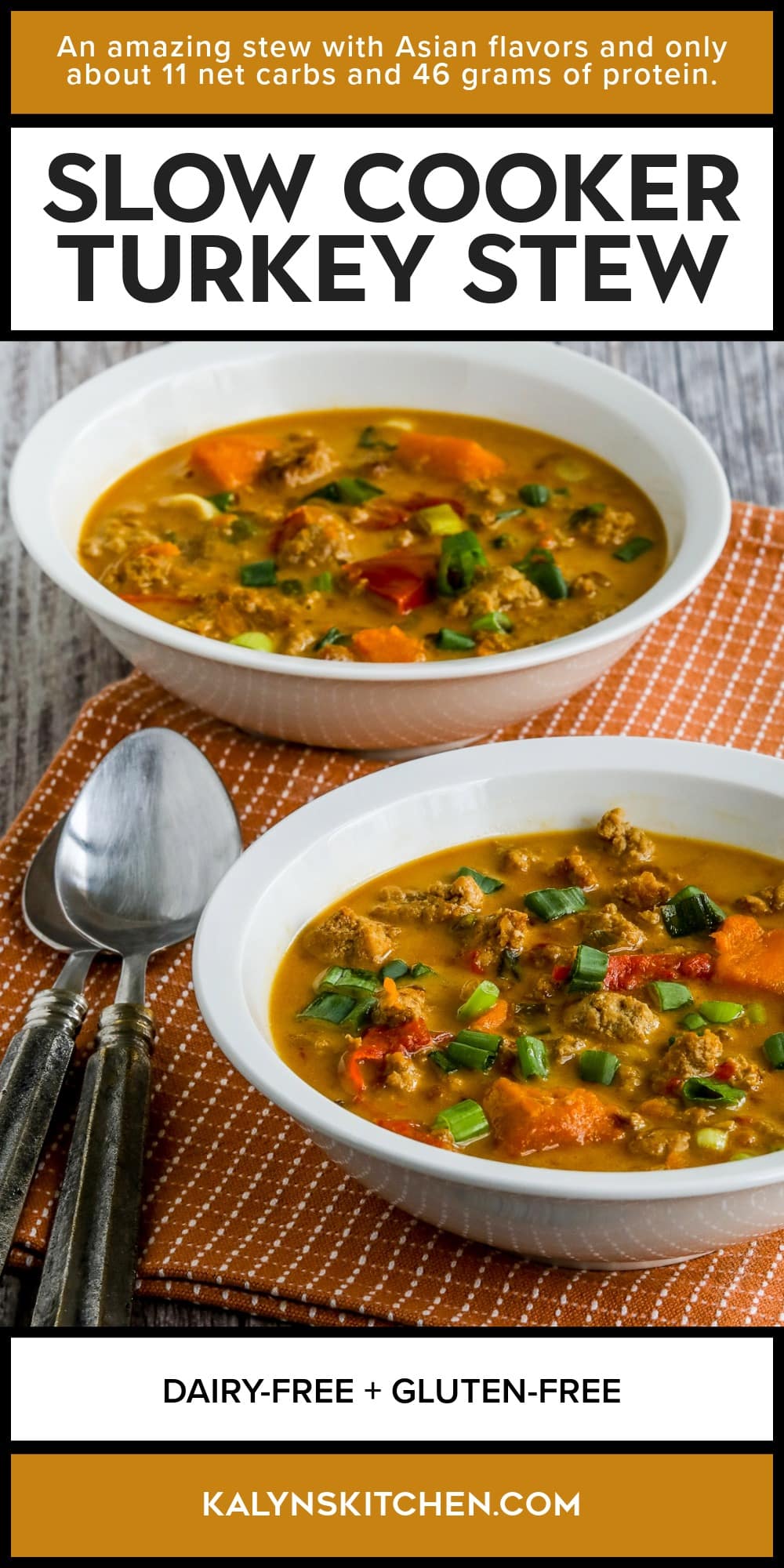 Pinterest image of Slow Cooker Turkey Stew