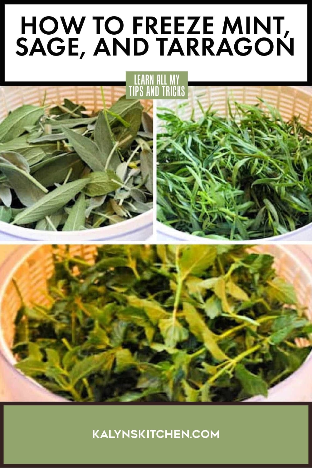 Pinterest image of How to Freeze Mint, Sage, and Tarragon