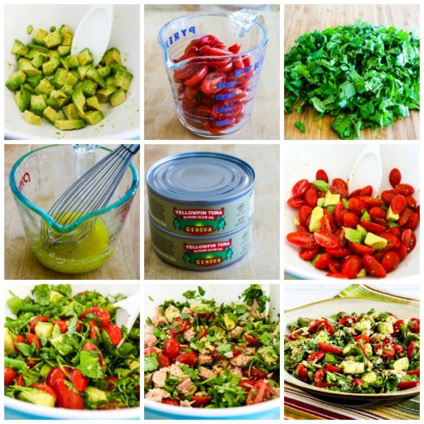 Tuna Avocado Tomato Salad Kalyn's Kitchen