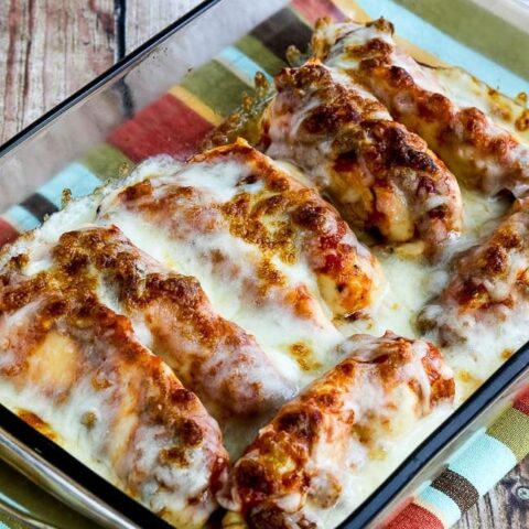 Instant Pot Salsa Chicken with Lime and Melted Mozzarella found on KalynsKitchen.com
