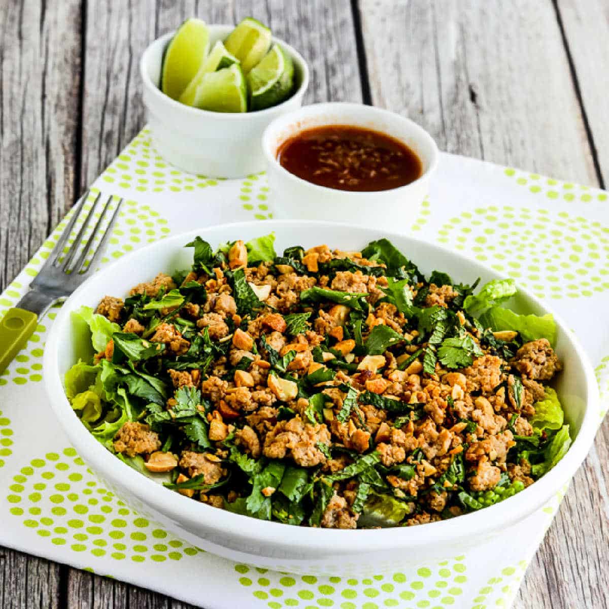 Thai-Inspired Turkey Larb Salad in serving bowl with dressing and limes in back.