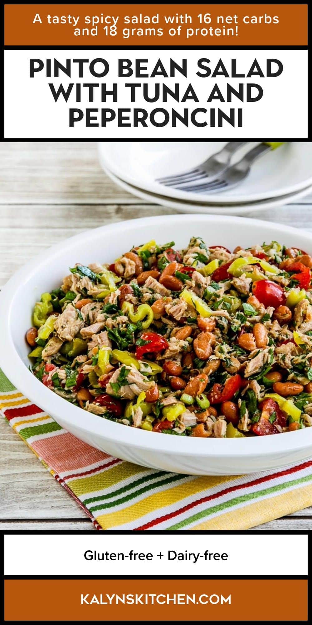 Pinterest image for Pinto Bean Salad with Tuna and Peperoncini shown in salad bowl.