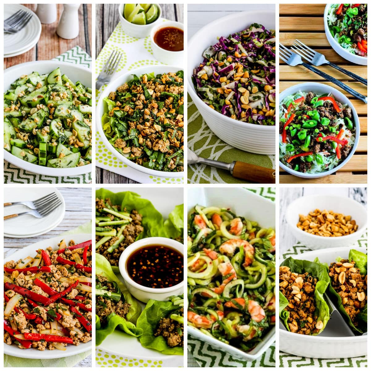 Red Boat Fish Sauce Collage showing featured recipes.