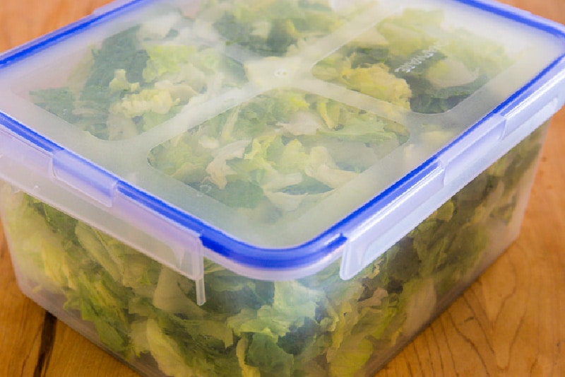 Lettuce container for taco salad food prep.