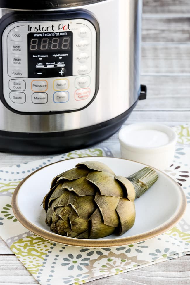 Artichoke on plate with Instant Pot in Back.